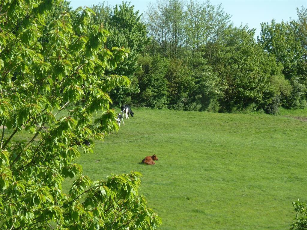 Ferienhof Jepsen Westerholz Ruang foto